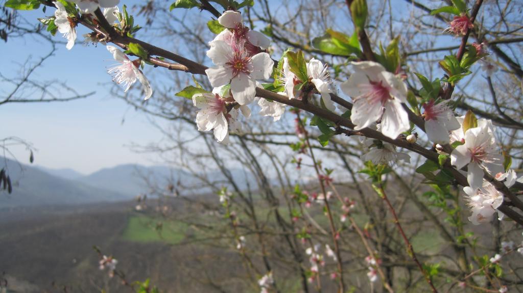 Il Mio Rifugio Konuk evi Gaggio Montano Dış mekan fotoğraf