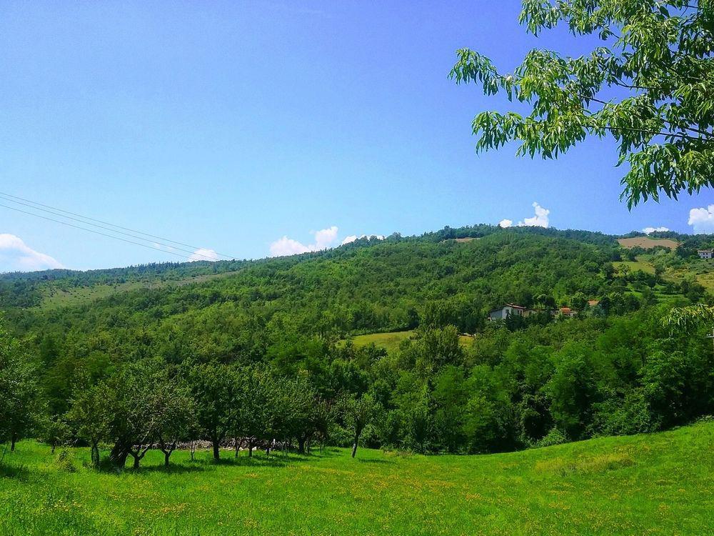 Il Mio Rifugio Konuk evi Gaggio Montano Dış mekan fotoğraf