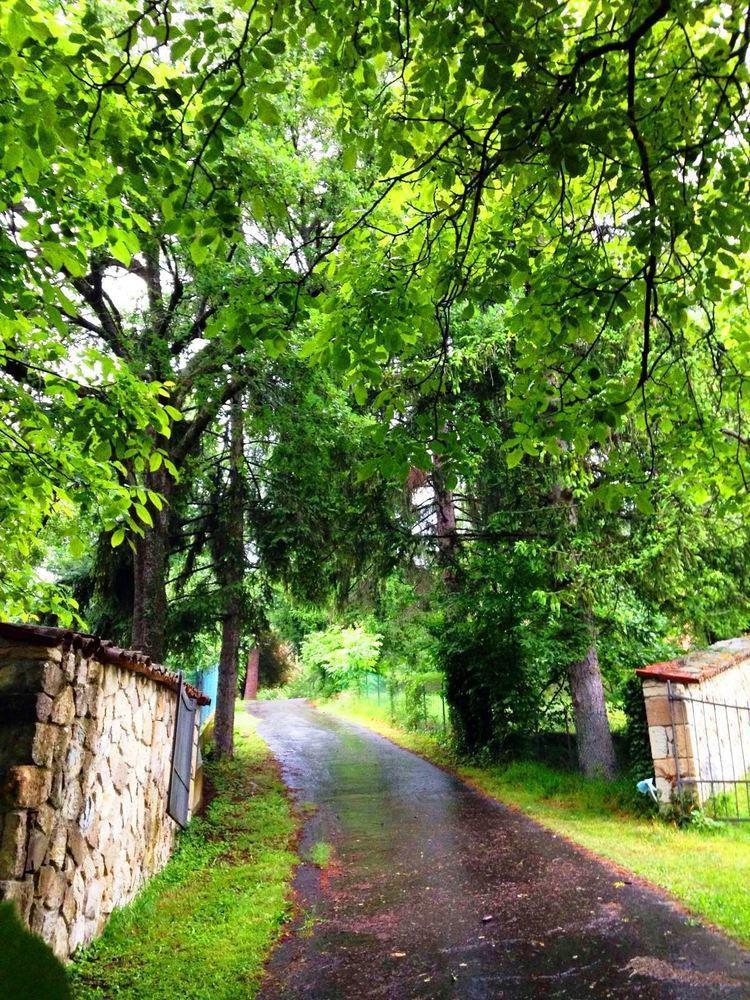 Il Mio Rifugio Konuk evi Gaggio Montano Dış mekan fotoğraf